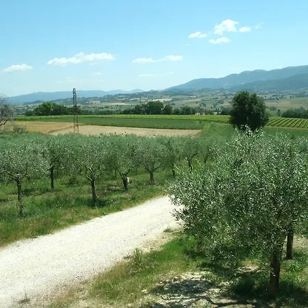 Il Nido Del Falco